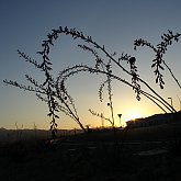 Sunset at Eldorado